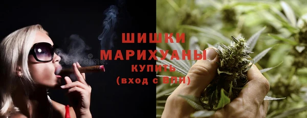 PSILOCYBIN Долгопрудный