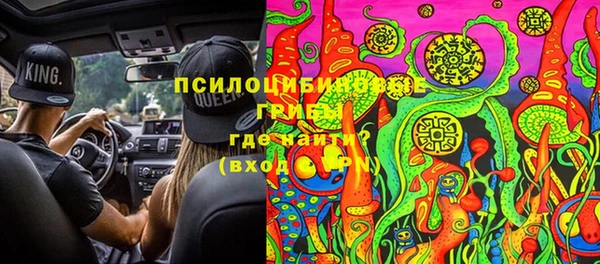 PSILOCYBIN Долгопрудный