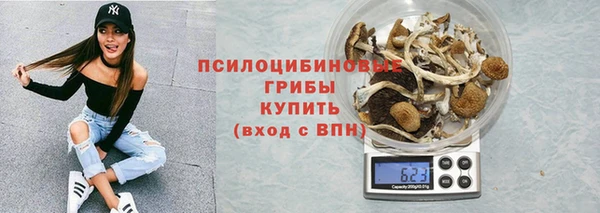 mdpv Новый Уренгой