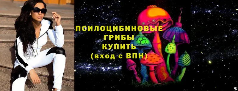 blacksprut как зайти  Волгоград  Галлюциногенные грибы мицелий 